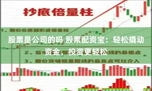 股票是公司的吗 股票配资宝：轻松撬动资金，投资更轻松